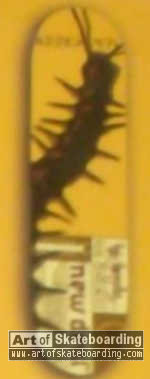Small Image