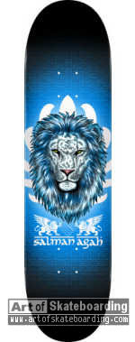 Lion 3