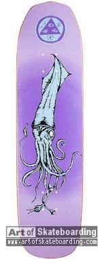 Squid