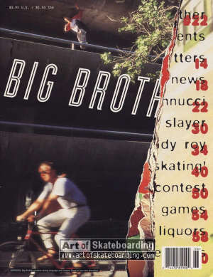 Big Brother vol. 1 issue 22