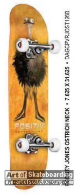 Animals - Ostrich Neck