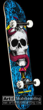 CMYK - Skull & Snake Blue (Factory Complete)