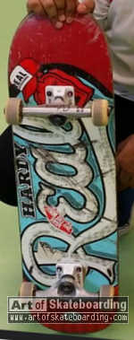 Skateboarding is #1 - Hardy